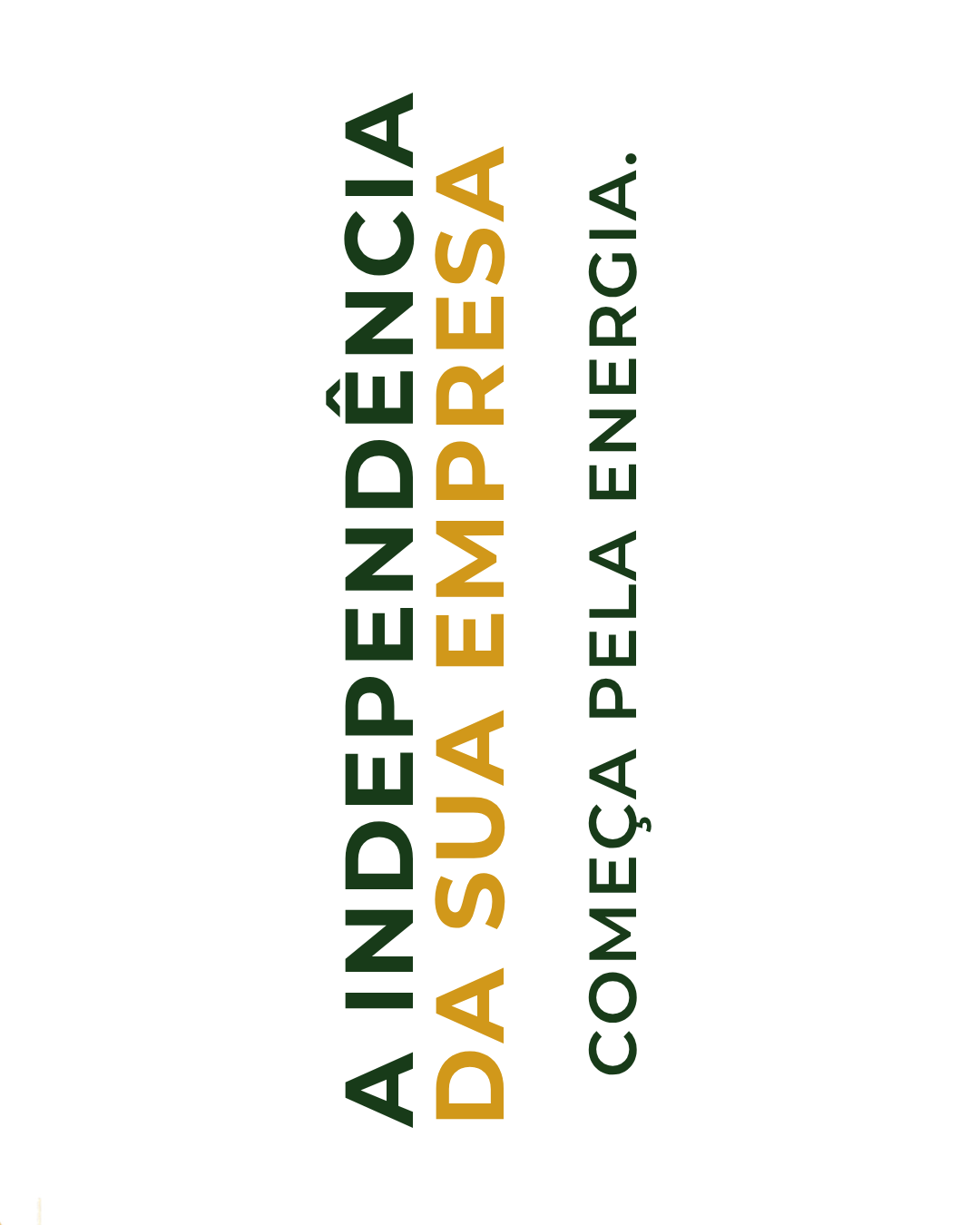 Design sem nome (11)